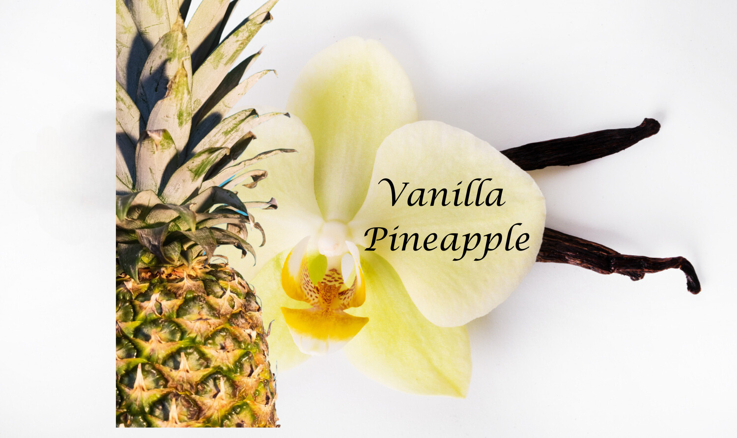 Vanilla Pineapple Body Oil - Light, Soft, Sensual Oil - Alcohol Free  Fragrance - Fruity Fun Sweet Scent-Tropical Perfume